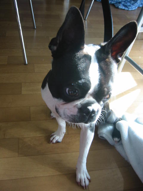 b0027203_23214274.jpg