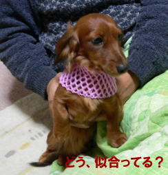 a0015815_21343091.jpg
