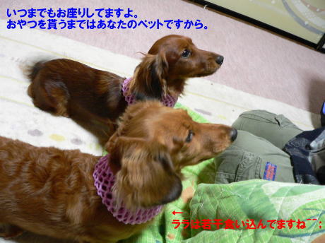 a0015815_21405399.jpg