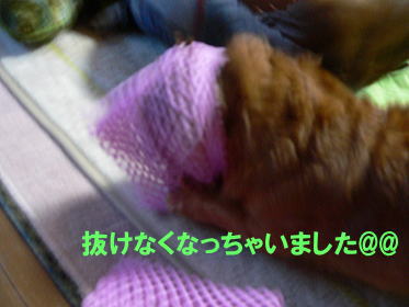 a0015815_21414410.jpg