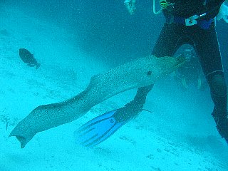 b0003235_22391383.jpg