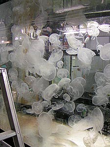 a0001971_042113.jpg