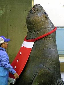 a0001971_081653.jpg