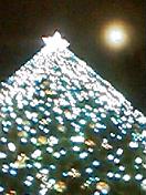 b0065936_19212436.jpg