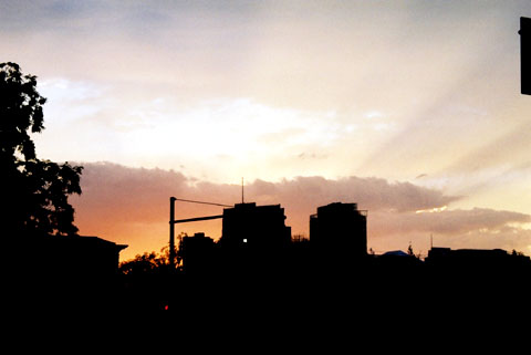 b0040345_1725595.jpg