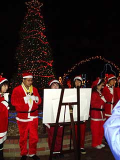 a0029259_112563.jpg