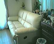 b0060071_19552786.jpg