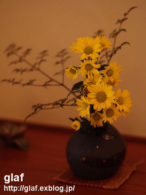 b0056790_6505459.jpg