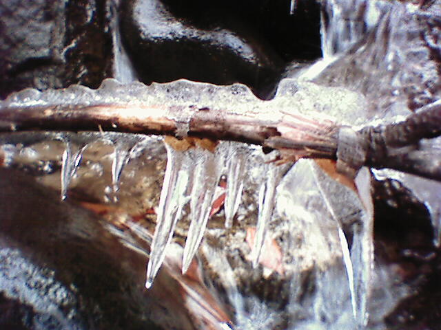 a0028803_1354924.jpg