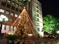 c0011822_20531128.jpg