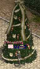 b0032347_1138614.jpg