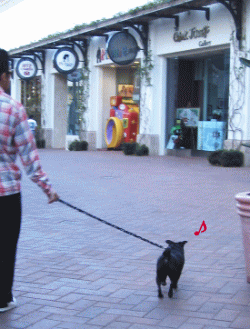 b0035453_1144139.gif