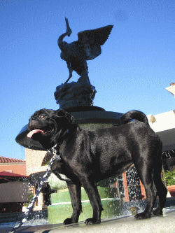 b0035453_11452493.gif