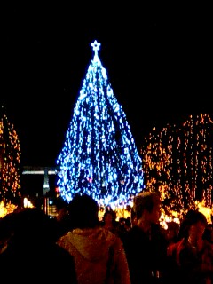 a0013479_10585981.jpg