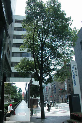 c0009981_14255525.jpg