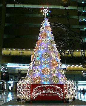b0046210_9475453.jpg