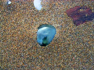 c0019338_20122246.jpg