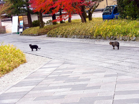a0024250_23405575.jpg