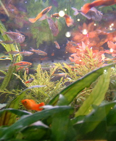 b0009665_23364783.jpg