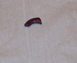 b0003270_22241874.jpg