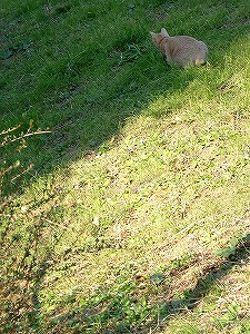 a0034419_1672188.jpg