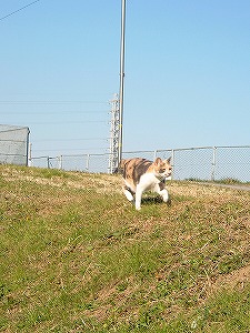 a0034419_1674447.jpg