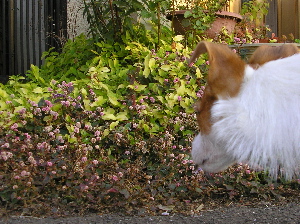 b0065067_2355535.jpg
