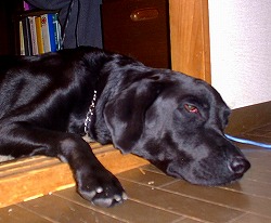 b0003270_22415333.jpg