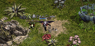 b0052295_10474966.gif