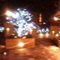 b0062522_2175181.jpg