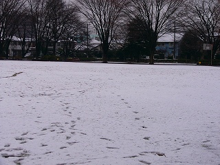 b0009029_20392562.jpg