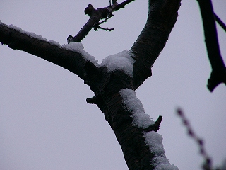 b0009029_20403326.jpg