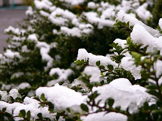 b0009029_20404351.jpg