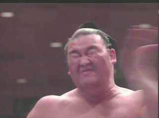 a0015730_8311562.gif