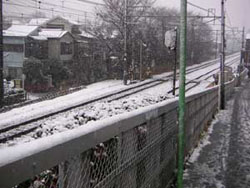 a0004555_1814264.jpg