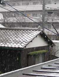 b0015963_1564877.jpg