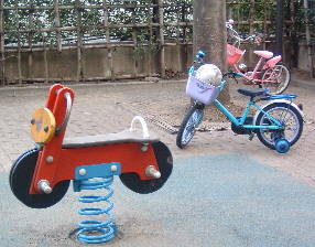 b0009665_019192.jpg