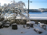 a0023043_19431375.jpg