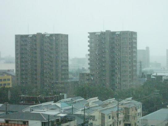 a0037706_10205838.jpg