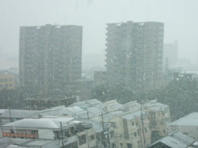 a0037706_10441229.jpg