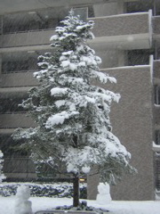 b0053414_1654563.jpg