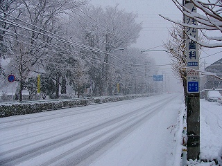 b0009029_16212160.jpg