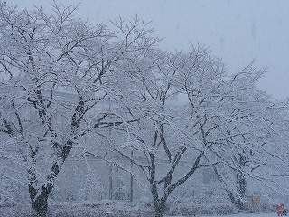 b0009029_16213552.jpg