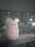 c0003752_17561997.jpg