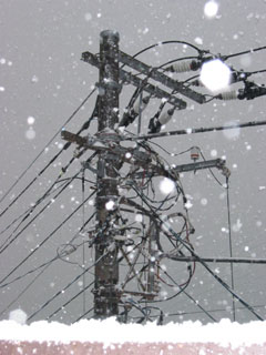 a0001756_1557156.jpg