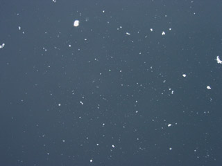a0001756_162958.jpg