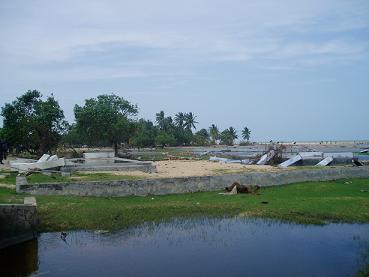 b0011956_22411067.jpg