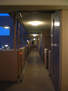 b0009665_053427.jpg