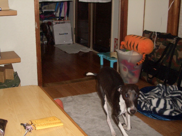c0020681_1944726.jpg