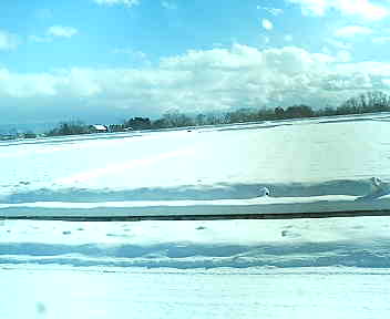 c0010783_1902986.jpg
